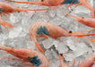 "Quisquilla" Blue Belly Shrimp (50-100 units) - ARC IBERICO IMPORTS