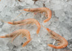 "Gamba Blanca De Huelva" Huelva White Shrimp (60-70 units) - ARC IBERICO IMPORTS
