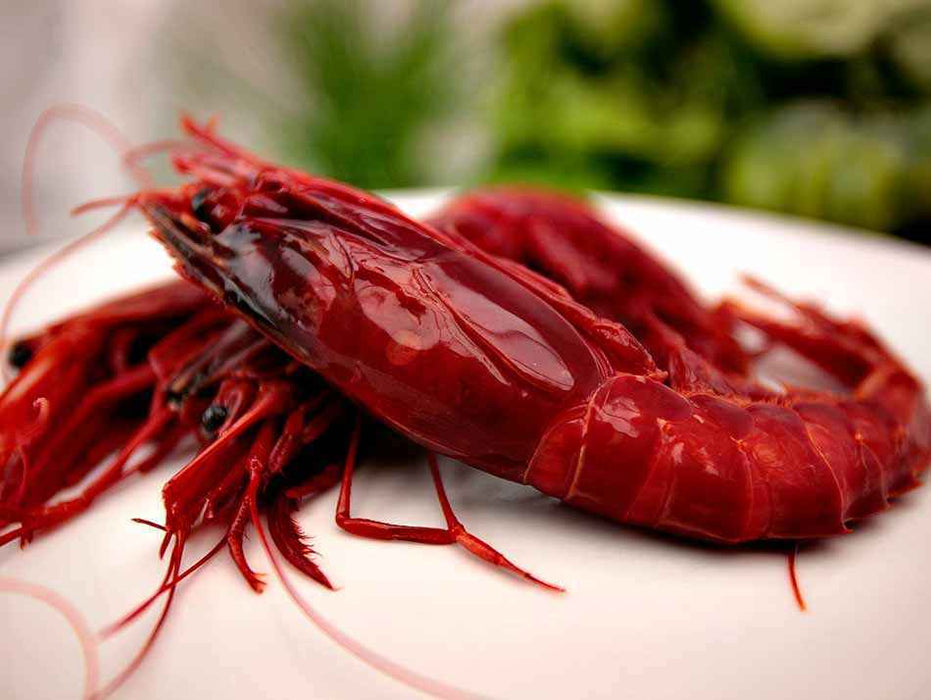 Carabinero "00" Medium Red King Prawn (7-9 units)