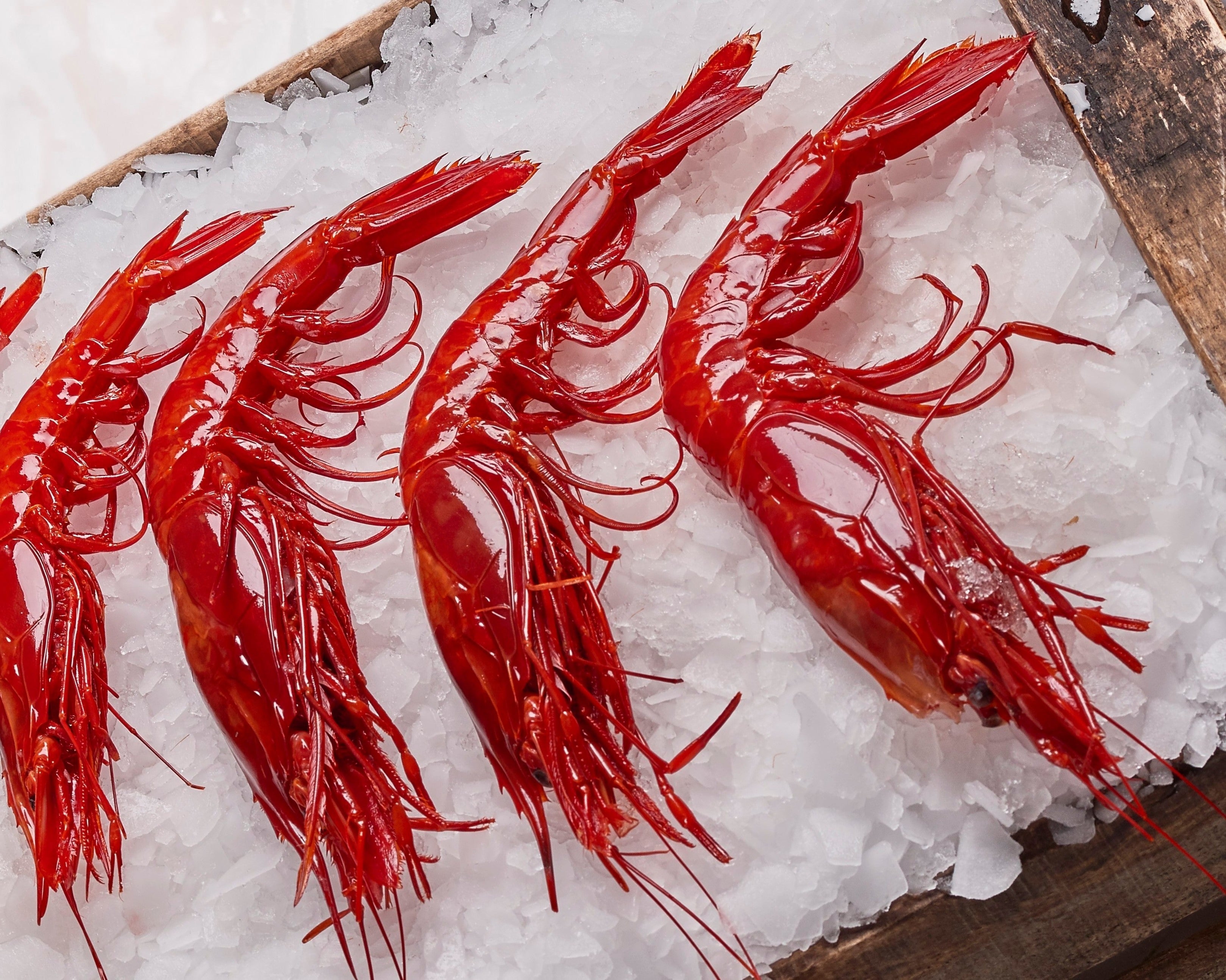 Carabinero "0" Extra Large Red King Prawn (8-10 units) - ARC IBERICO IMPORTS
